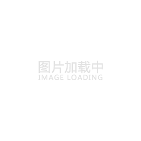 宣武环氧富锌漆